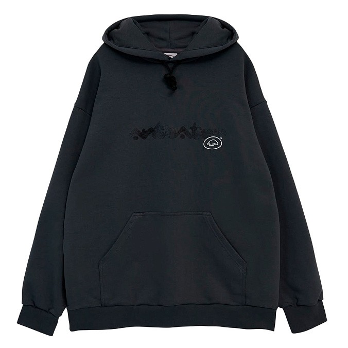 Толстовка Anteater Hoodie